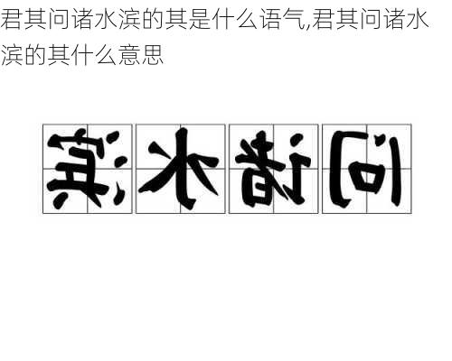 君其问诸水滨的其是什么语气,君其问诸水滨的其什么意思