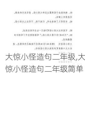 大惊小怪造句二年级,大惊小怪造句二年级简单