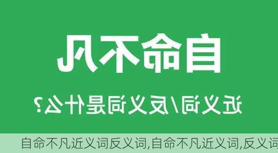 自命不凡近义词反义词,自命不凡近义词,反义词