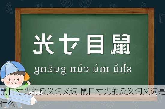 鼠目寸光的反义词义词,鼠目寸光的反义词义词是什么