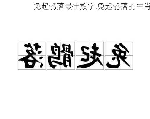 兔起鹘落最佳数字,兔起鹘落的生肖