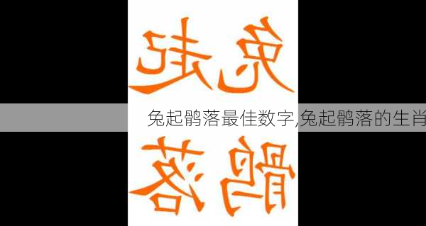 兔起鹘落最佳数字,兔起鹘落的生肖