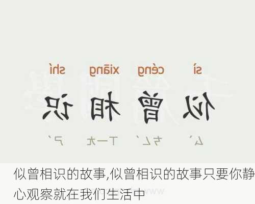 似曾相识的故事,似曾相识的故事只要你静心观察就在我们生活中