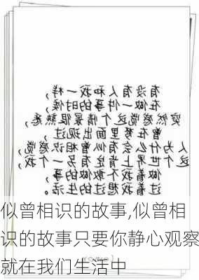 似曾相识的故事,似曾相识的故事只要你静心观察就在我们生活中