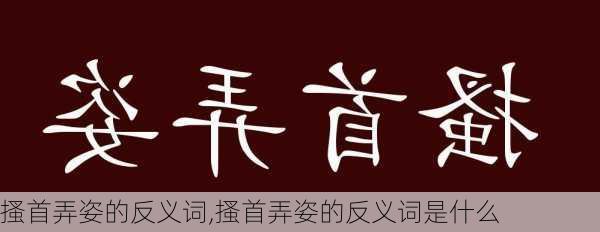 搔首弄姿的反义词,搔首弄姿的反义词是什么