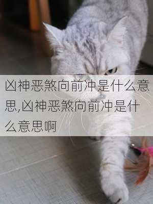 凶神恶煞向前冲是什么意思,凶神恶煞向前冲是什么意思啊