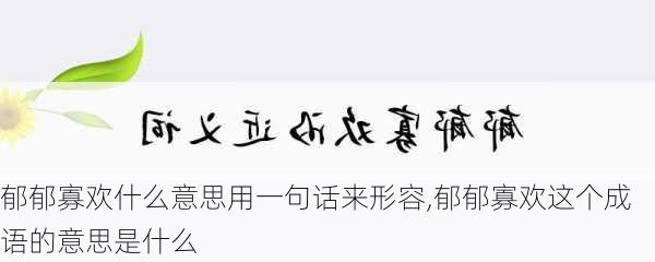 郁郁寡欢什么意思用一句话来形容,郁郁寡欢这个成语的意思是什么