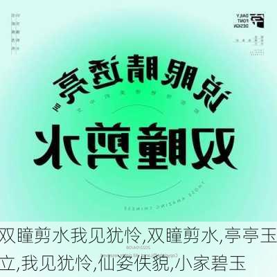 双瞳剪水我见犹怜,双瞳剪水,亭亭玉立,我见犹怜,仙姿佚貌,小家碧玉