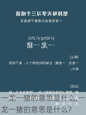 一龙一猪的意思是什么,一龙一猪的意思是什么?