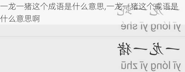 一龙一猪这个成语是什么意思,一龙一猪这个成语是什么意思啊