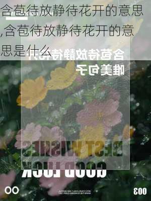 含苞待放静待花开的意思,含苞待放静待花开的意思是什么