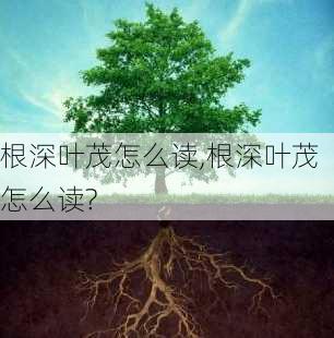 根深叶茂怎么读,根深叶茂怎么读?