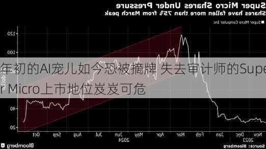 年初的AI宠儿如今恐被摘牌 失去审计师的Super Micro上市地位岌岌可危