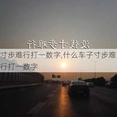 寸步难行打一数字,什么车子寸步难行打一数字