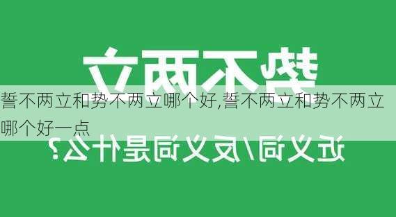 誓不两立和势不两立哪个好,誓不两立和势不两立哪个好一点