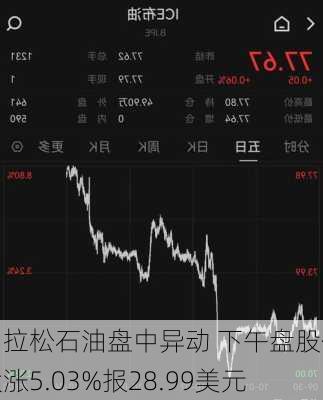 马拉松石油盘中异动 下午盘股价大涨5.03%报28.99美元