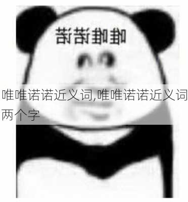 唯唯诺诺近义词,唯唯诺诺近义词两个字