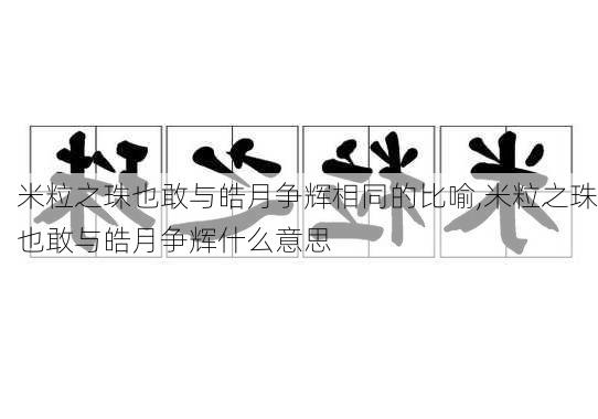 米粒之珠也敢与皓月争辉相同的比喻,米粒之珠也敢与皓月争辉什么意思