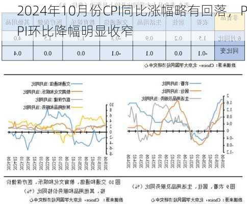 2024年10月份CPI同比涨幅略有回落，PPI环比降幅明显收窄