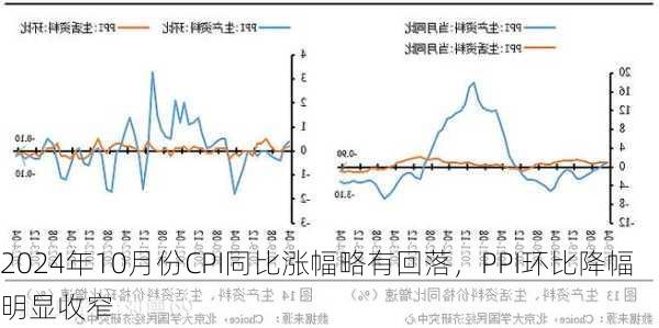 2024年10月份CPI同比涨幅略有回落，PPI环比降幅明显收窄