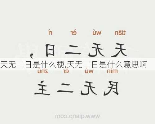 天无二日是什么梗,天无二日是什么意思啊