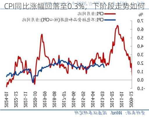 CPI同比涨幅回落至0.3%，下阶段走势如何