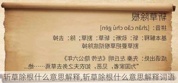 斩草除根什么意思解释,斩草除根什么意思解释词语