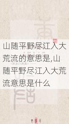 山随平野尽江入大荒流的意思是,山随平野尽江入大荒流意思是什么