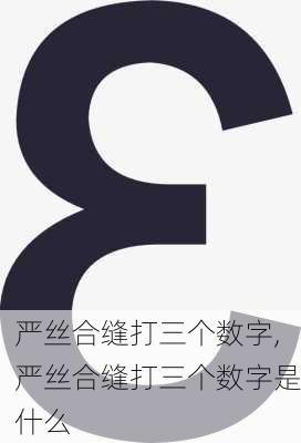 严丝合缝打三个数字,严丝合缝打三个数字是什么