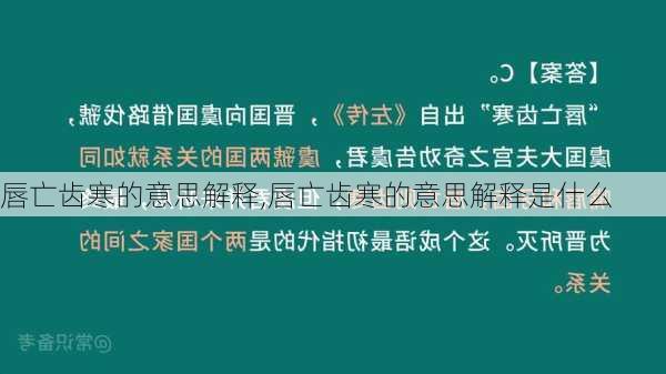 唇亡齿寒的意思解释,唇亡齿寒的意思解释是什么