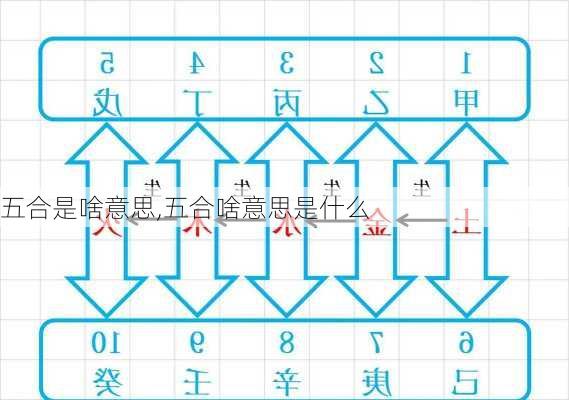 五合是啥意思,五合啥意思是什么