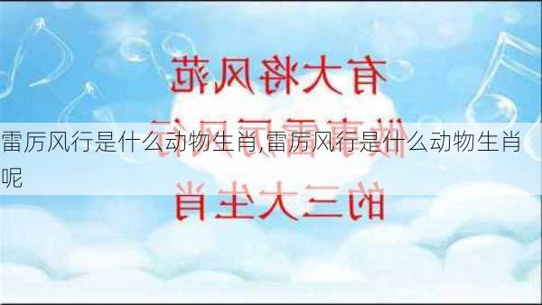 雷厉风行是什么动物生肖,雷厉风行是什么动物生肖呢