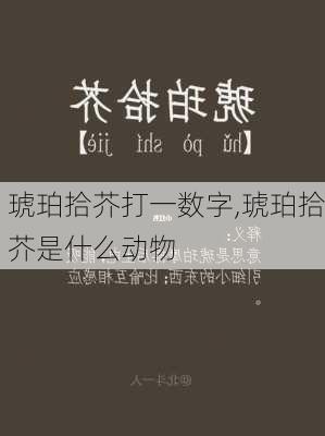 琥珀拾芥打一数字,琥珀拾芥是什么动物