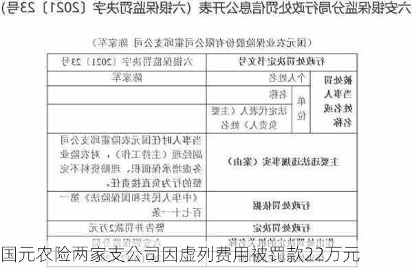 国元农险两家支公司因虚列费用被罚款22万元