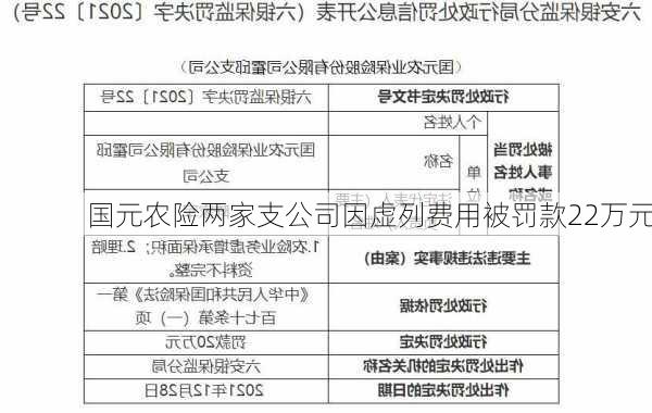 国元农险两家支公司因虚列费用被罚款22万元