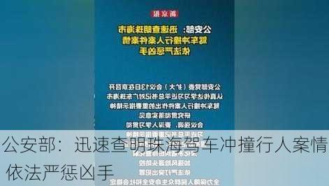 公安部：迅速查明珠海驾车冲撞行人案情 依法严惩凶手