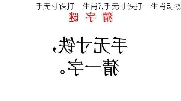 手无寸铁打一生肖?,手无寸铁打一生肖动物