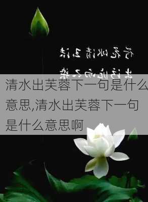 清水出芙蓉下一句是什么意思,清水出芙蓉下一句是什么意思啊