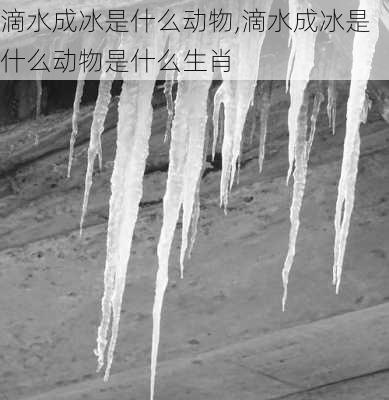 滴水成冰是什么动物,滴水成冰是什么动物是什么生肖