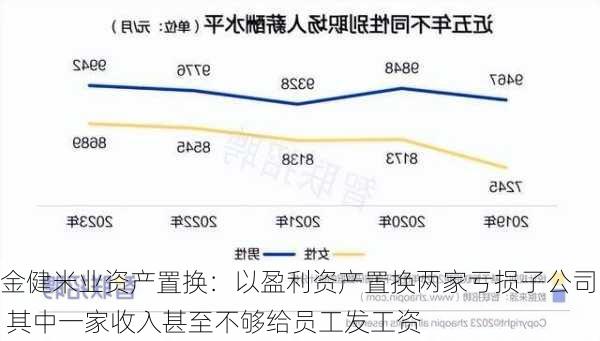 金健米业资产置换：以盈利资产置换两家亏损子公司 其中一家收入甚至不够给员工发工资