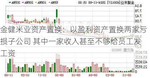 金健米业资产置换：以盈利资产置换两家亏损子公司 其中一家收入甚至不够给员工发工资