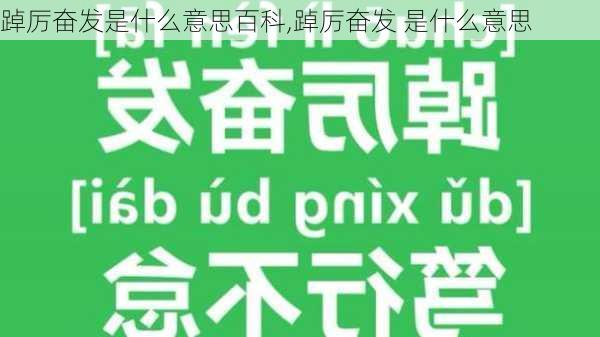 踔厉奋发是什么意思百科,踔厉奋发 是什么意思