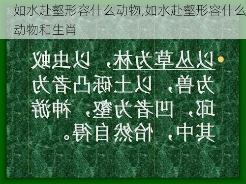 如水赴壑形容什么动物,如水赴壑形容什么动物和生肖