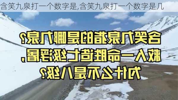 含笑九泉打一个数字是,含笑九泉打一个数字是几