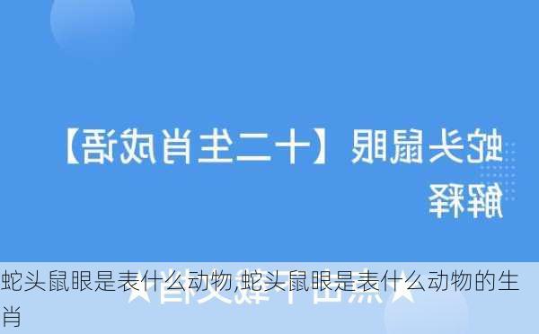 蛇头鼠眼是表什么动物,蛇头鼠眼是表什么动物的生肖