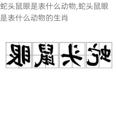 蛇头鼠眼是表什么动物,蛇头鼠眼是表什么动物的生肖