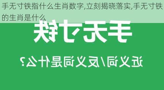 手无寸铁指什么生肖数字,立刻揭晓落实,手无寸铁的生肖是什么