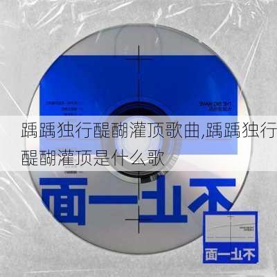 踽踽独行醍醐灌顶歌曲,踽踽独行醍醐灌顶是什么歌