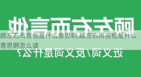 顾左右而言他是什么意思啊,顾左右而言他是什么意思啊怎么读