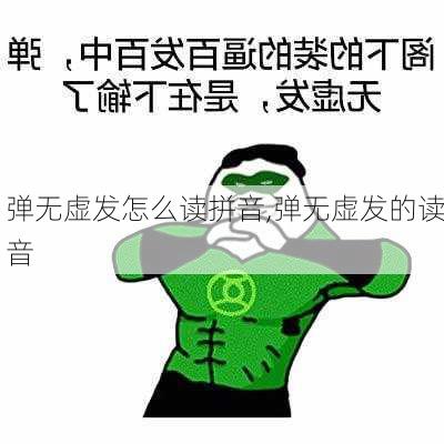 弹无虚发怎么读拼音,弹无虚发的读音